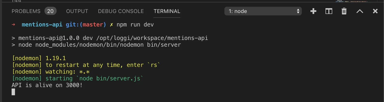 Imagem do VS Code executando o comando npm run dev